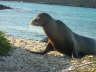 juan-leon aus Galapagos