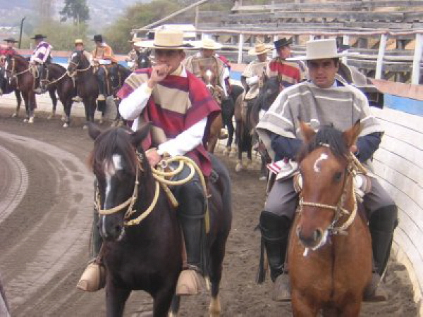 Rodeo in Palemo