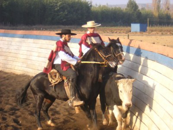 ein chilenisches Rodeo ist halt kein spanischer Stierkampf